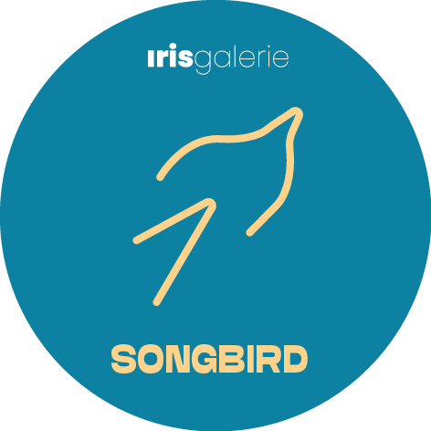 signe iridologique hirondelle